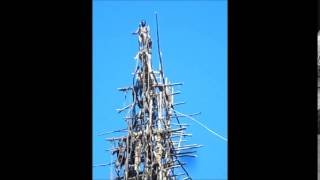 Vanuatu Land Diving  The Original Bungee Jump [upl. by Lihcox724]