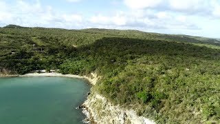 GUAN  Guanica Forest NEON Terrestrial Field Site  Puerto Rico [upl. by Esilehc719]