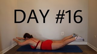 Day 16 Hiit 30 Day Workout Challenge At Home No Equipment [upl. by Alahsal]