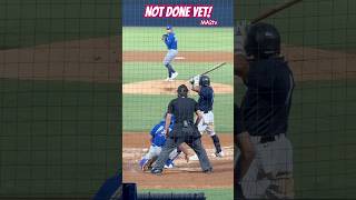 Not Done Yet The hitter says Ball 4 umpire says strike BaseballLife MA2tv YouTube MILB ⚾️ [upl. by Alton719]