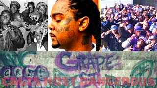 Who are the Grape Street Crips The story of one of LAs most ruthless gangs GSC VS BHB [upl. by Ettenej868]