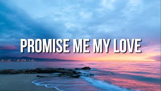 Promise Me My Love Lyric Video  Jungkook ft Emma Heeters [upl. by Nett]