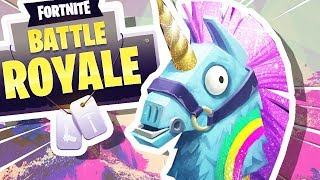 FORTNITE BATTLE ROYALE BLITZ [upl. by Rekab]