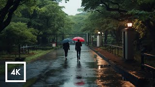 Relaxing Rainy Day Walk in Shibuya Yoyogi Park Japan [upl. by Ennahoj294]