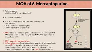 Mechanism of Action of 6 Mercaptopurine in a Nutshell [upl. by Zitella]