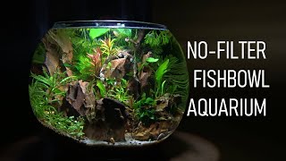 How To Set Up A FISHBOWL The RIGHT Way  No Filter  No Heater  Aquarium Setup [upl. by Boylston478]