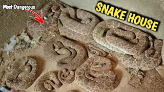 Snake House of Gwalior Zoo Madhya Pradesh [upl. by Aldos897]