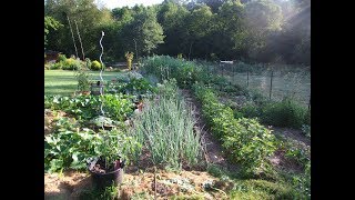 pourquoi arreter la permaculture [upl. by Atalanti961]