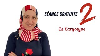 Seance 2 Le caryotype [upl. by Sherie]