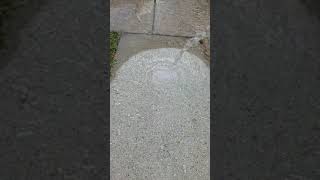 Penetrating Siloxane Sealer on Concrete [upl. by Magdala249]