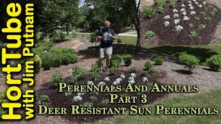 Perennials and Annuals Part 3  Tough Deer Resistant Sun Perennials [upl. by Nnylirret]