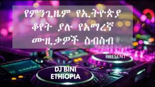 Ethiopian Slow Music Collection [upl. by Anaerda]