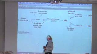 Nucleotide Metabolism II [upl. by Ecined]