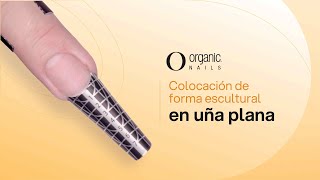 ¿Cómo colocar la forma escultural en una uña plana  Organic Colombia [upl. by Ana]