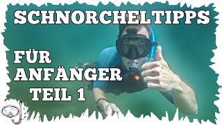 10 Schnorcheltipps für Anfänger  Teil 1  Schnorcheln lernen [upl. by Almeria329]