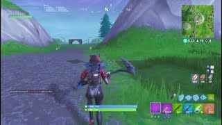 FORTNITE win with quotLYNXquot skin stage 2 [upl. by Trubow633]