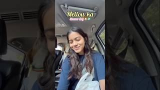 Mellow 🐶ka vaccination 💉 aur shower 🧼wala dinn aa he gaya shorts shortsvideo [upl. by Sokul]