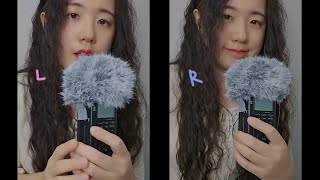 ASMR Twin Ear Blowing  Fluffy Mic Touching Tascam No Talking 1Hr [upl. by Anamuj]