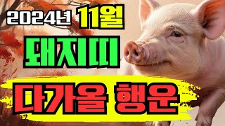 돼지띠 11월 운세 인생을 바꿀 대운 78세 66세 54세 42세 30세 돼지띠 11월운세 돼지띠 로또 [upl. by Mackoff]