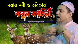 দয়ার নবী ও হরিণীর করুন কাহিনীখালেদ সাইফুল্লাহ আইয়ুবীkhaled saifullah ayubiNew Waz [upl. by Lucretia]