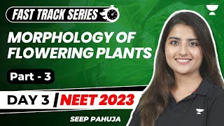 Morphology of Flowering Plants  Part 3  Fast Track Revision NEET 2023  Seep Pahuja [upl. by Eissed]