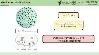 Uso de toxina botulínica  Hospital San Vicente Fundación [upl. by Fidellas835]