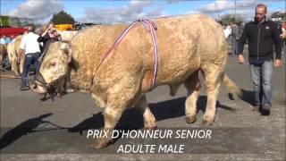 CONCOURS AGRICOLE VAL DARROUX GUEUGNON 2014 [upl. by Azial457]