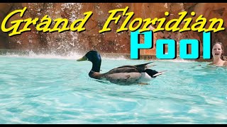 Disney Grand Floridian Pool Water Slide amp Splash Pad [upl. by Enahsed]