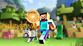 Atranka I Privatu Minecraft Serveri MANDARINAI [upl. by Lleynad490]