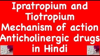 Ipratropium and Tiotropium Mechanism of action Anticholinergic drugs in Hindi [upl. by Regan]