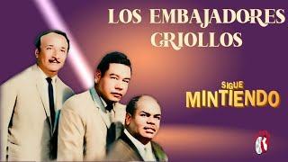 Los Embajadores Criollos  Sigue mintiendo Visualizer Oficial [upl. by Migeon]