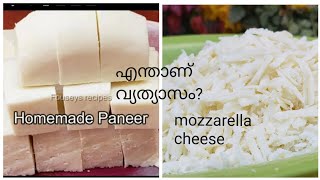 Difference between Mozzarella cheese and paneercottage cheese [upl. by Nettie]