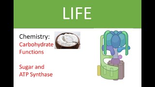 chem015b Carbs and ATP synthase [upl. by Swann363]