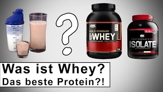 Was ist Whey Protein Wie wichtig ist es für den Muskelaufbau [upl. by Tharp153]