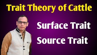 Trait Theory of Cattle l Cattle Personality Theory l Surface Trait l Source Trait by Dr Vivek [upl. by Ellekram]