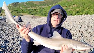 Minehead Festival 2024 Fishing Competition Bristol Channel [upl. by Edroi]