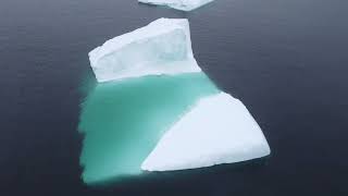 Twillingate Icebergs June 7th 2023 [upl. by Barris323]