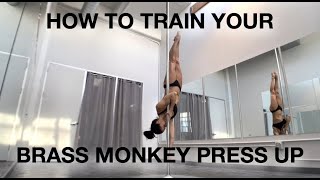 How To Train Your Brass Monkey Press Up  Pole Dancing Tutorials by ElizabethBfit [upl. by Ernaline]