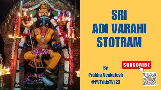 Sri Adi Varahi Stotram ​⁠PVTridsTV123 [upl. by Elocan]