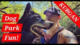 HUGE Shepherd Kurgan Making Friends at Dog Park [upl. by Lauralee]