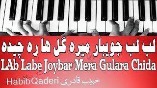 لب لب جویبار میره گل ها ره چیده  LAb Labe Joybar Mera Gulara Chida [upl. by Meedan874]