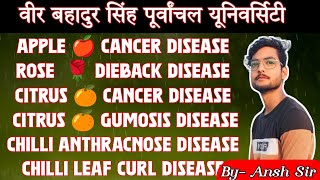 Disease Of Horticultural Crop And Their Management Top 06 Most Important Disease vbspu [upl. by Adnima]