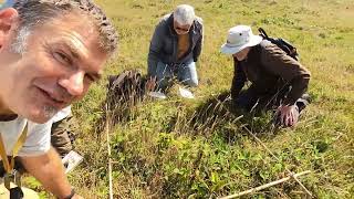 Penwith Wildlife Recording Group  Surveying Wildflowers at Numfra and Bartinney [upl. by Notsag]