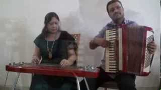 Ye Ladka Hai Allah Instrumental  Hawaiian Guitar  Accordion [upl. by Aiket141]