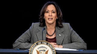 Kamala Harris mocked for ‘girl math’ election spending habits [upl. by Melody]