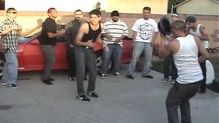 Cholos Bailando Cumbia Parody [upl. by Yeoj]