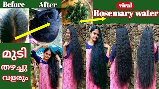 വിശ്വസിച്ചേപറ്റൂ 😱 ROSEMARY WATER FOR HAIR GROWTH  Blessy Long Hair Videos [upl. by Swamy]