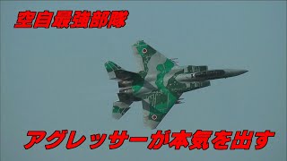 【F15】アグレッサーが本気を見せたら こういう飛び方になる 飛行教導群  JASDF F15 AGGRESSOR Nyutabaru Air Show 2010 [upl. by Eisiam]