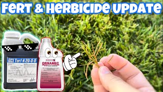 Fertilizer App amp Herbicide Bermuda Update [upl. by Alimac]