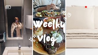 WEEKLY VLOG passe la semaine ensemble entre boulot courses et maison [upl. by Wurster]